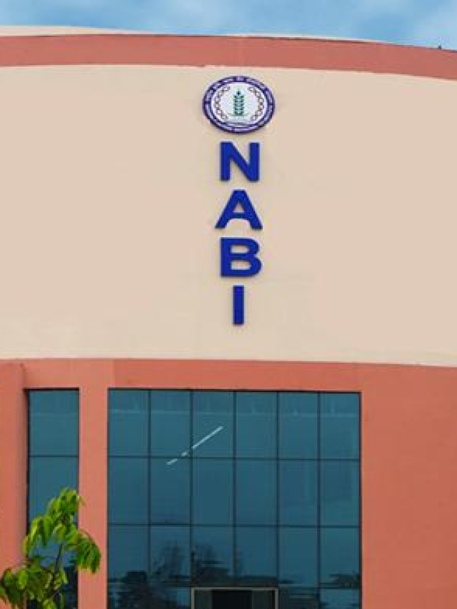 Big Jobs : NABI Vacancy 2023 PDF Link: Monthly Salary Upto 58000, Check Post, Age, Salary,