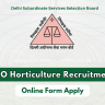 DSSSB SO Recruitment 2024 Out: Online Form Apply for 108 Posts, Date, Eligibility Criteria and How to Apply