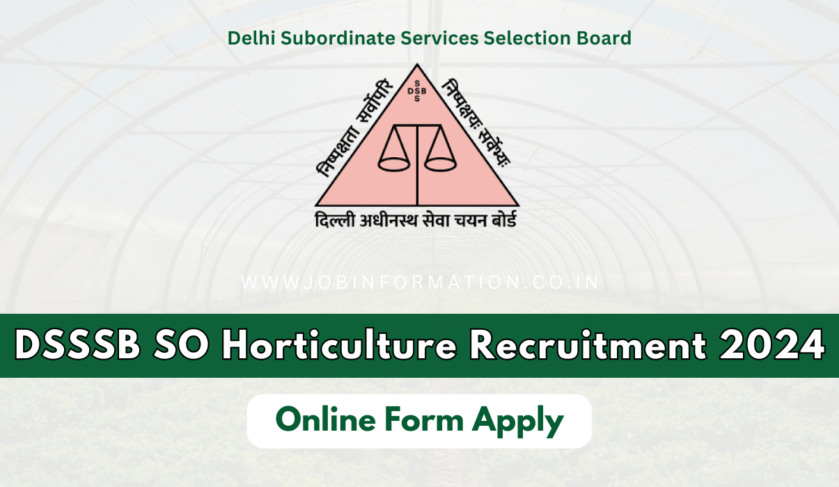 DSSSB SO Recruitment 2024 Out: Online Form Apply for 108 Posts, Date, Eligibility Criteria and How to Apply