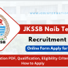 Naib Tehsildar Recruitment 2024 PDF: Online Form for 250 Posts, Qualification, Eligibility Criteria and How to Apply