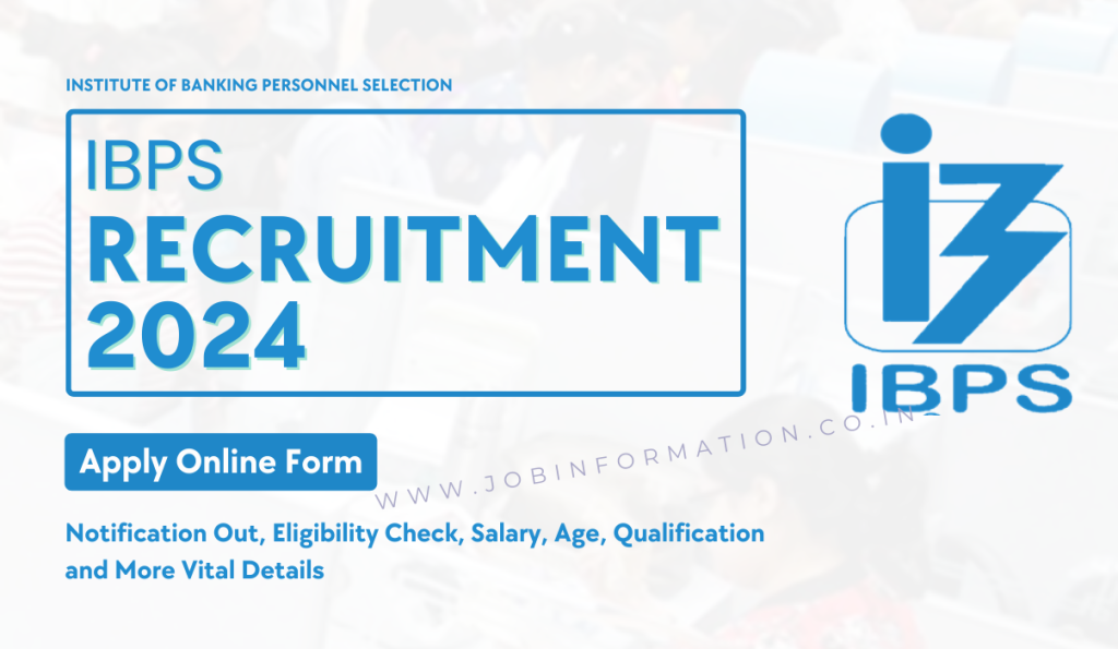 IBPS Recruitment 2024 PDF: Notification Out for Various Posts, Eligibility Check, Selection Process and How to Apply